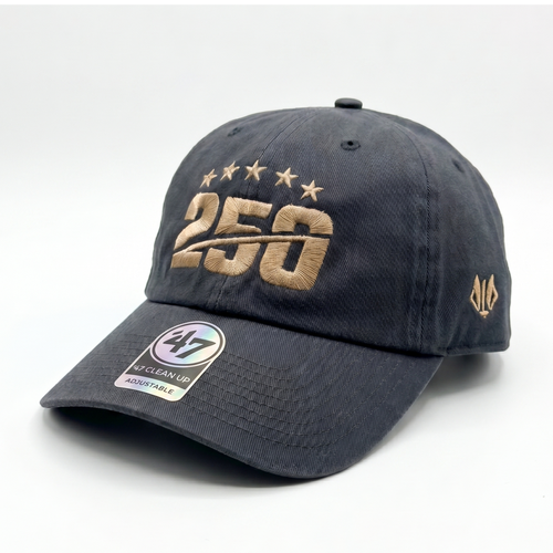 250th Anniversary Vintage Dad Hat: The Vanguard